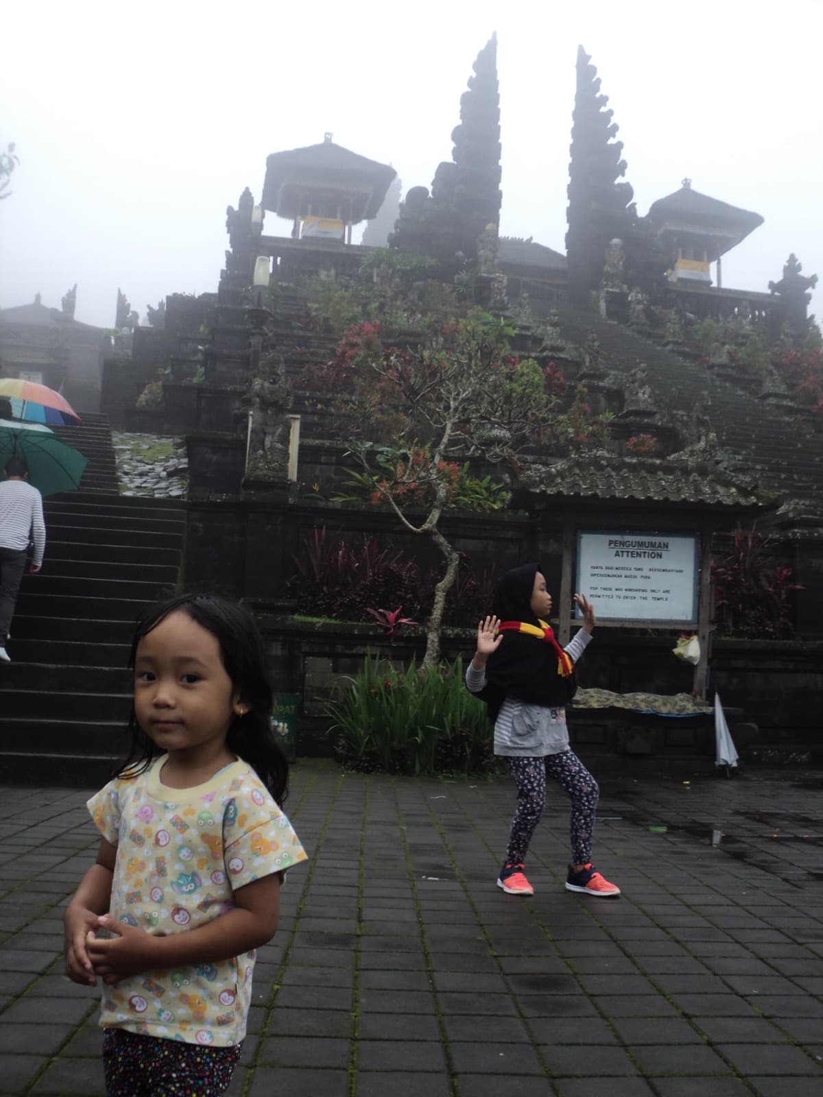 Kindergartens & Nannies