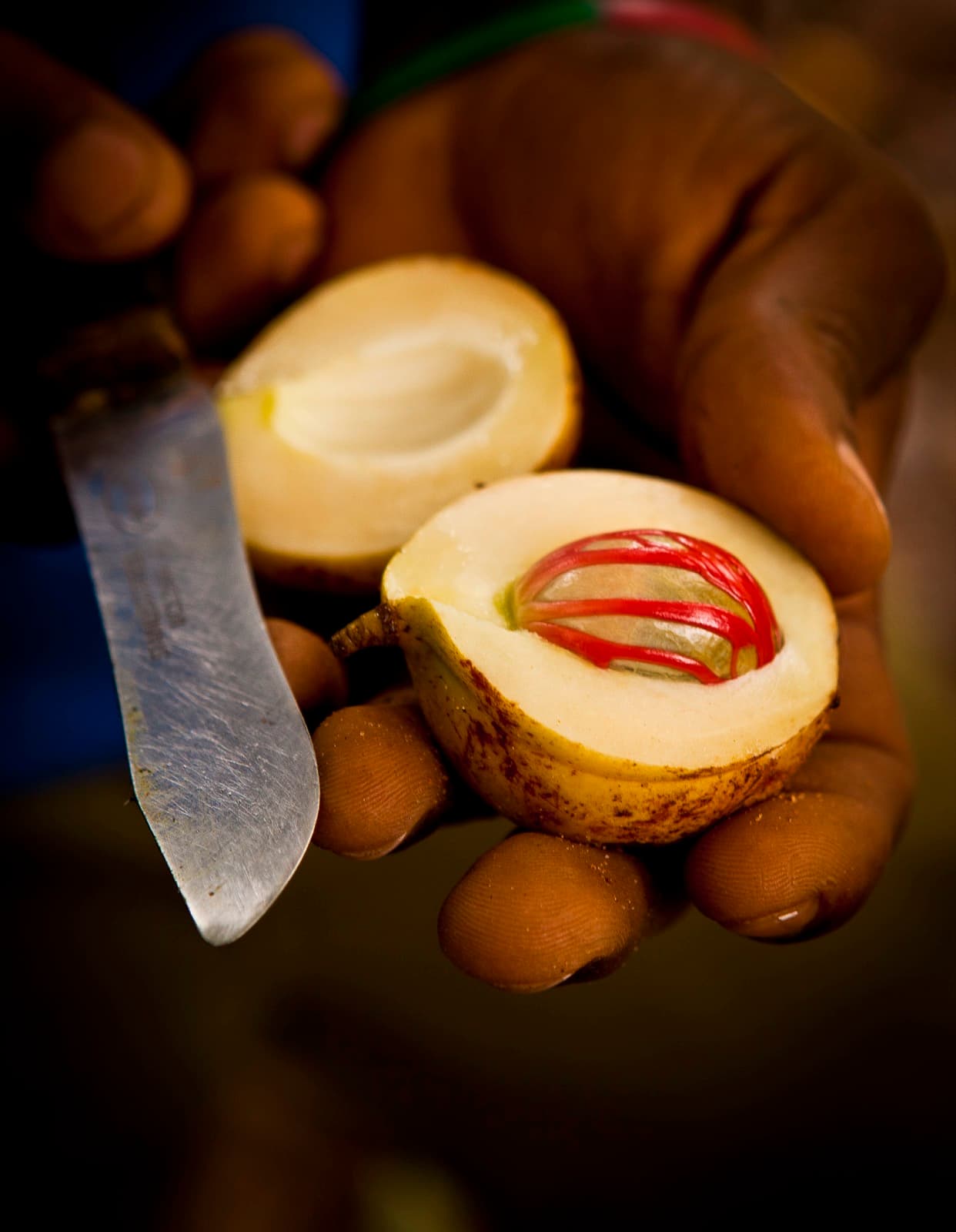 The Nutmeg Trade History