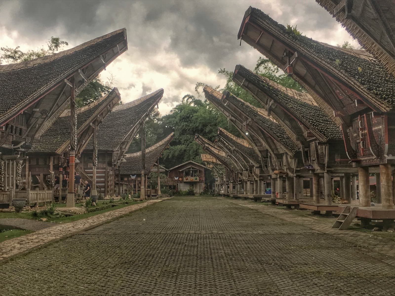 Tongkonan Villages