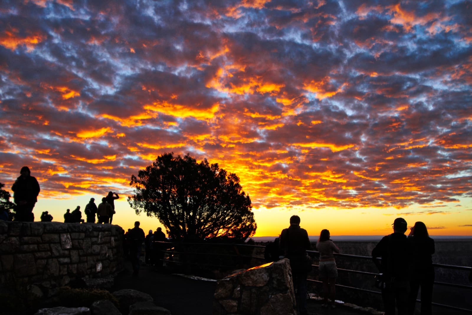 The American West's National Parks
