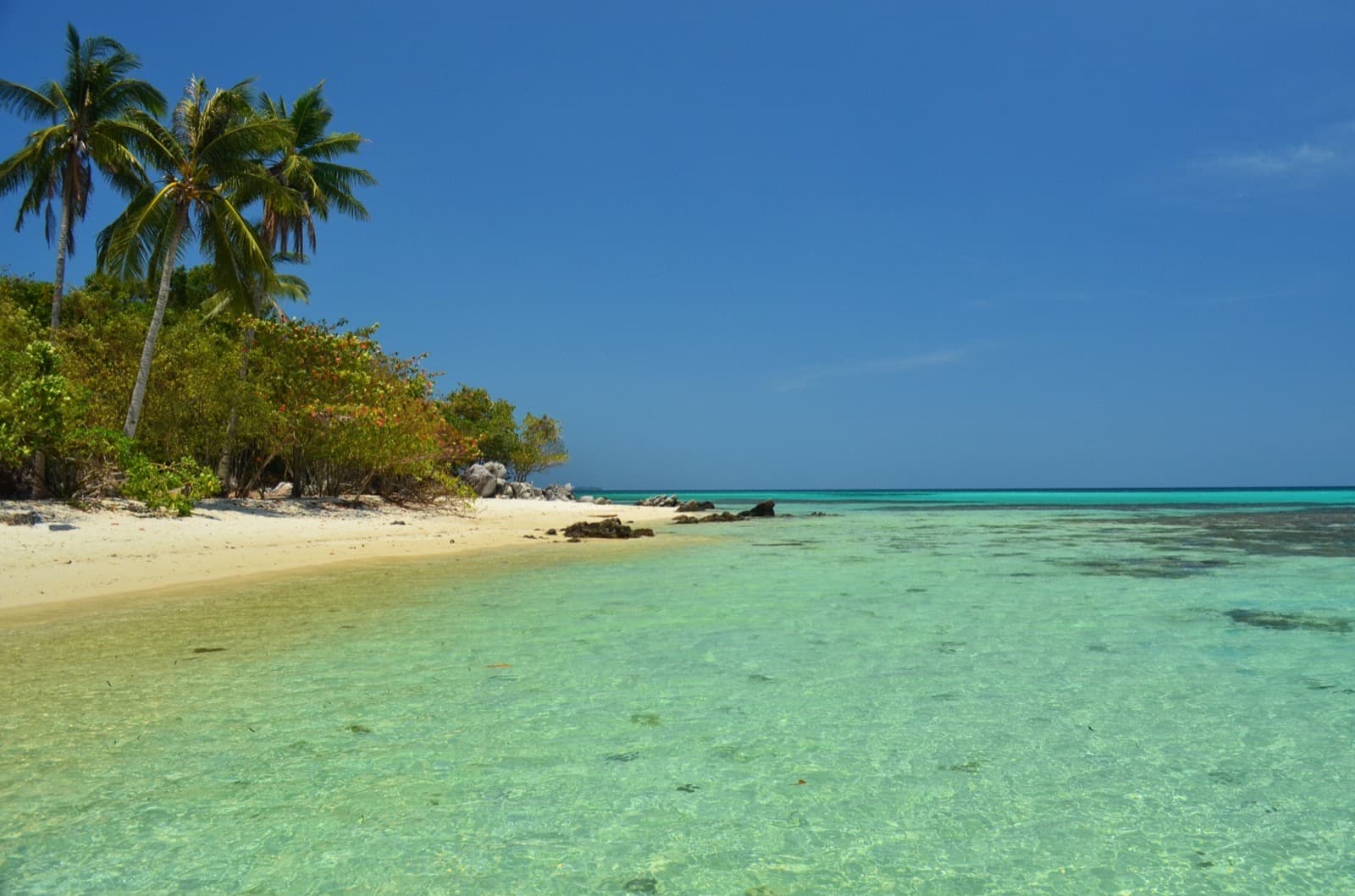 The Karimunjawa Marine Park