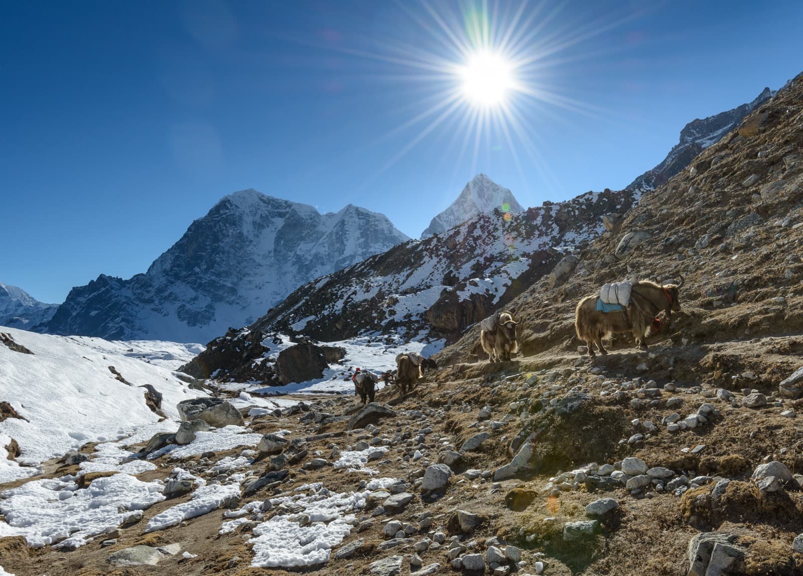 Everest Region Trekking